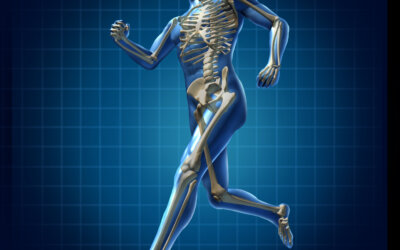 Tips for Healthy Bones and Joints: Stay Active at Any Age